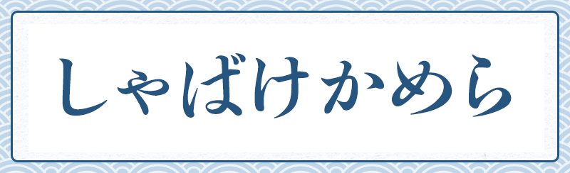 テレビアニメ「しゃばけ」かめら